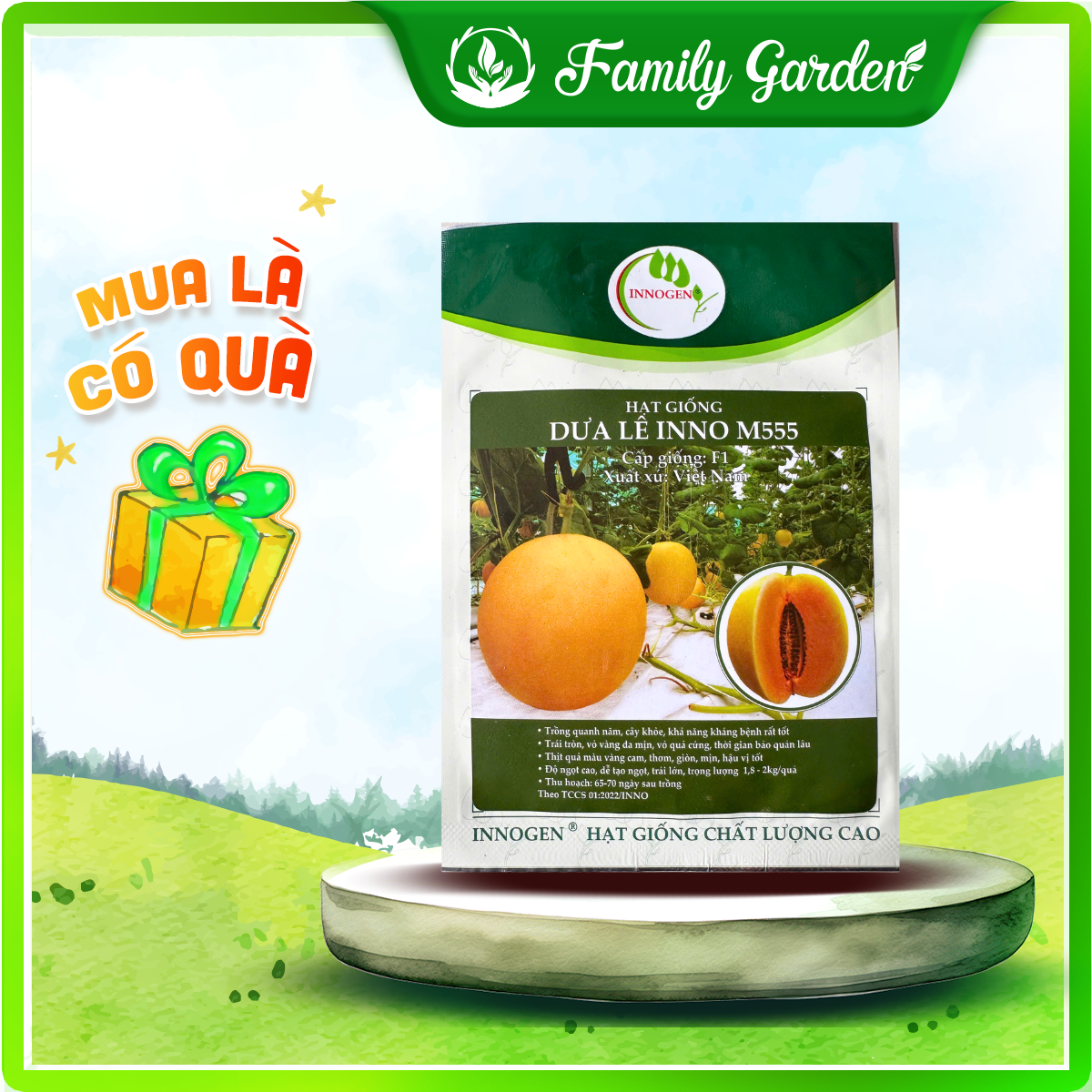 Hạt Giống Dưa Lê INNO M555 | Gói 10 Hạt