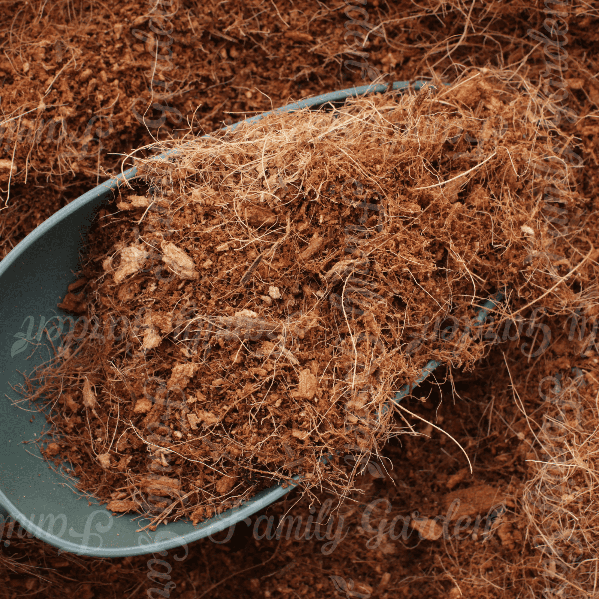 Giá thể xơ mụn dừa đã qua xử lý chất chát gây hại
