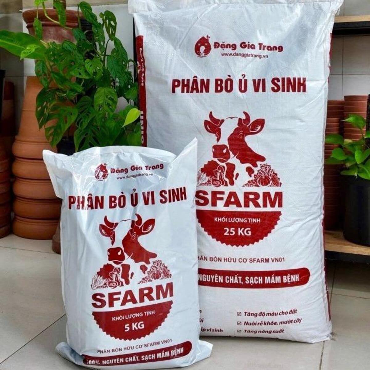 Phân bò kích rễ bung trắng xóa, lá xanh mướt, đẹp hoa và bóng quả