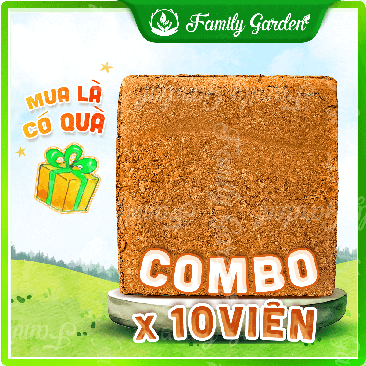 Combo 10 Viên nén xơ mụn dừa 1Kg đã qua xử lý - Giá thể trồng cây chất lượng cao | Độc quyền Family Garden