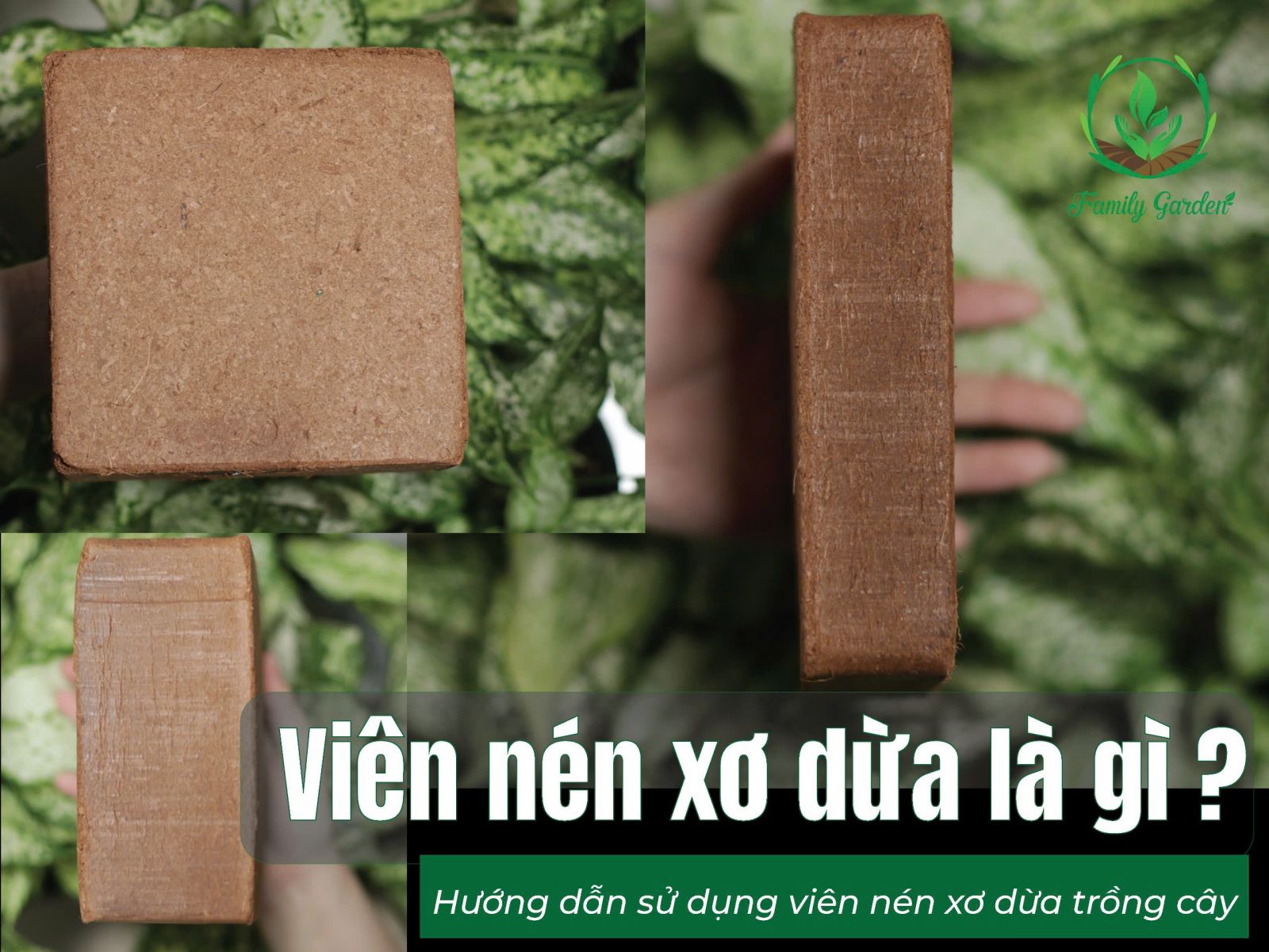 Viên nén xơ dừa Family Garden viên 500gr